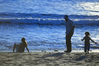 DSC_1223 (Large).JPG